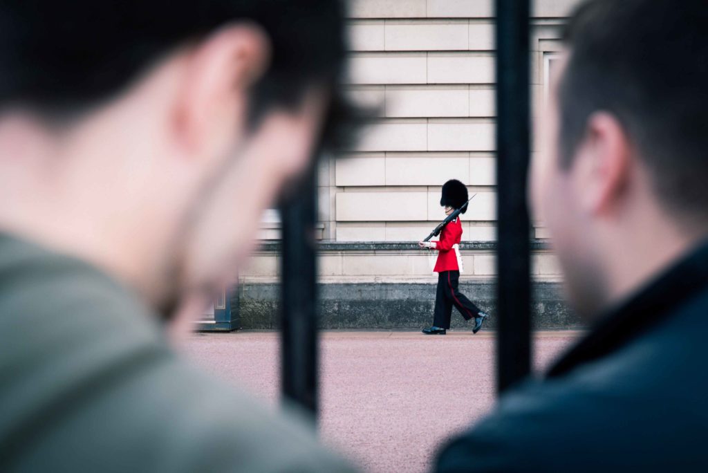 SIA-licensed security professional hired outside Buckingham Palace